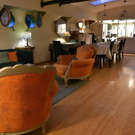 Peniche Amboise Flottante Centre *