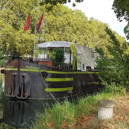 Peniche Amboise Flottante Centre Båthotell *