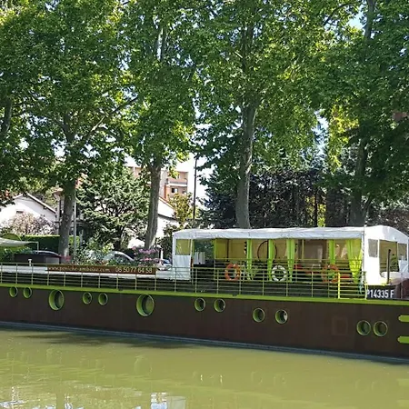 Peniche Amboise Flottante Centre Båthotell Toulouse
