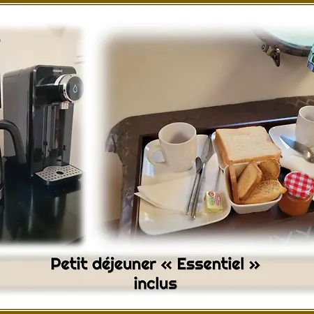 Peniche Amboise Flottante Centre Båthotell