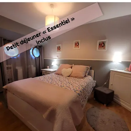 Peniche Amboise Flottante Centre Toulouse