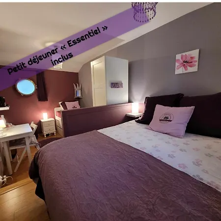 Peniche Amboise Flottante Centre