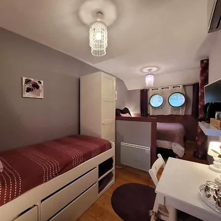 Båthotell Peniche Amboise Flottante Centre Toulouse