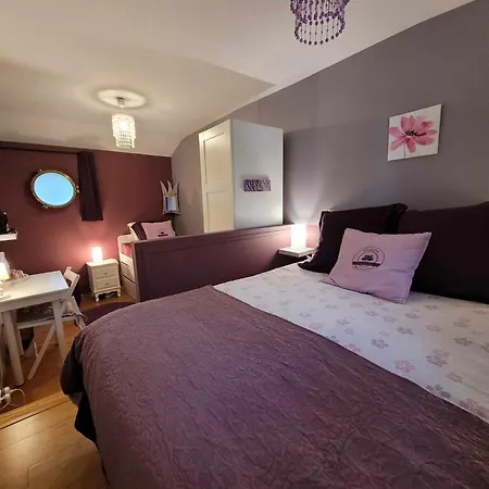 Peniche Amboise Flottante Centre * Τουλούζη