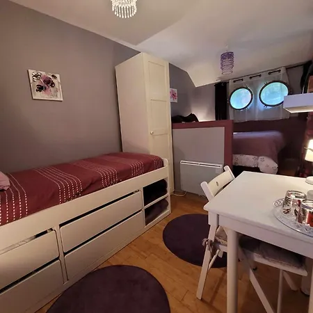 Peniche Amboise Flottante Centre Båthotell Toulouse