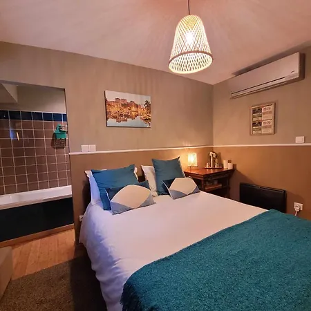 Peniche Amboise Flottante Centre Τουλούζη