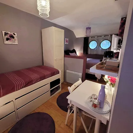 Peniche Amboise Flottante Centre Ботель *
