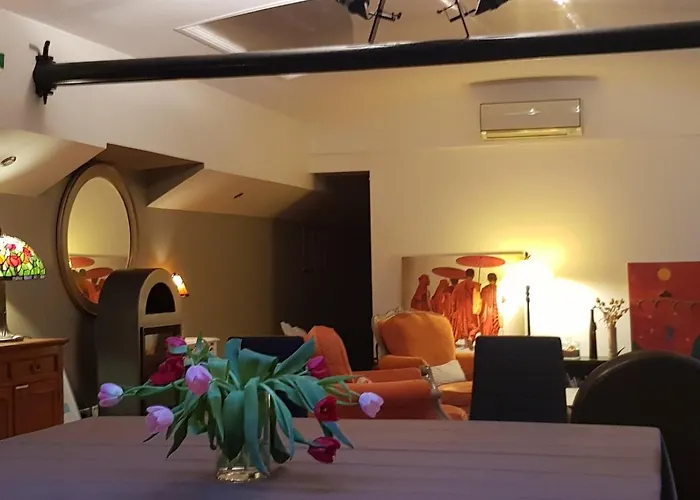 Πλωτό κατάλυμα Peniche Amboise Flottante Centre *