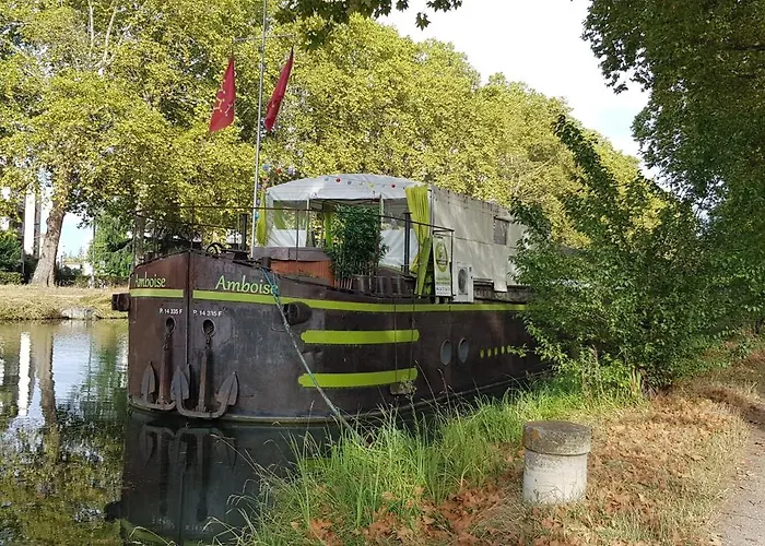 Peniche Amboise Flottante Centre Πλωτό κατάλυμα *