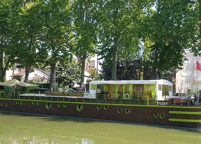 Peniche Amboise Flottante Centre Πλωτό κατάλυμα Τουλούζη