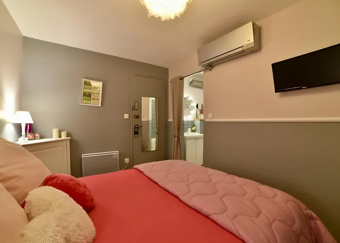 Πλωτό κατάλυμα Peniche Amboise Flottante Centre Τουλούζη