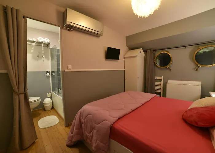 Πλωτό κατάλυμα Peniche Amboise Flottante Centre