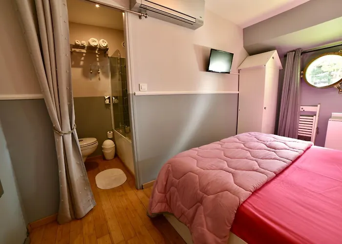 Ботель Peniche Amboise Flottante Centre Тулуза