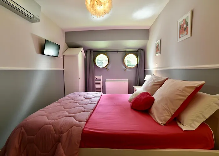 Peniche Amboise Flottante Centre * Τουλούζη