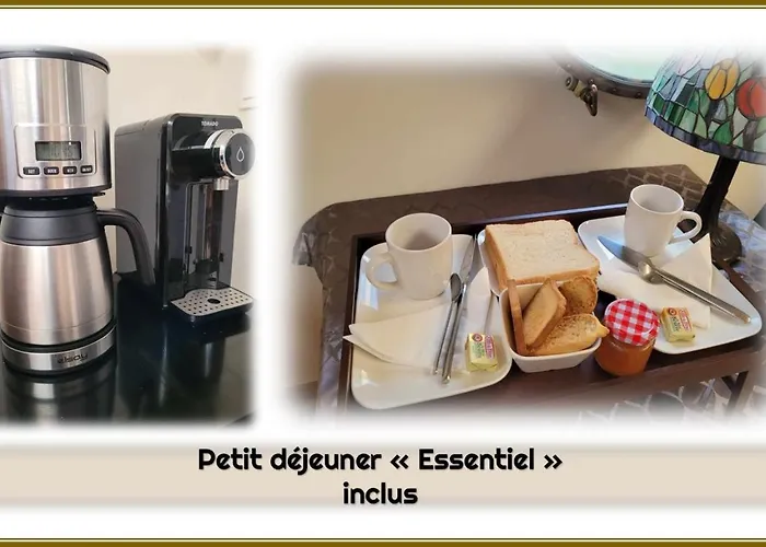 Peniche Amboise Flottante Centre Πλωτό κατάλυμα