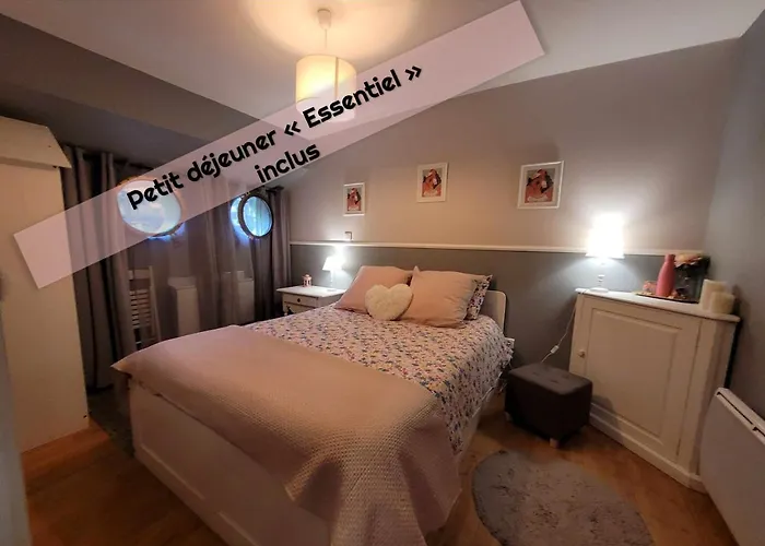 Peniche Amboise Flottante Centre Τουλούζη