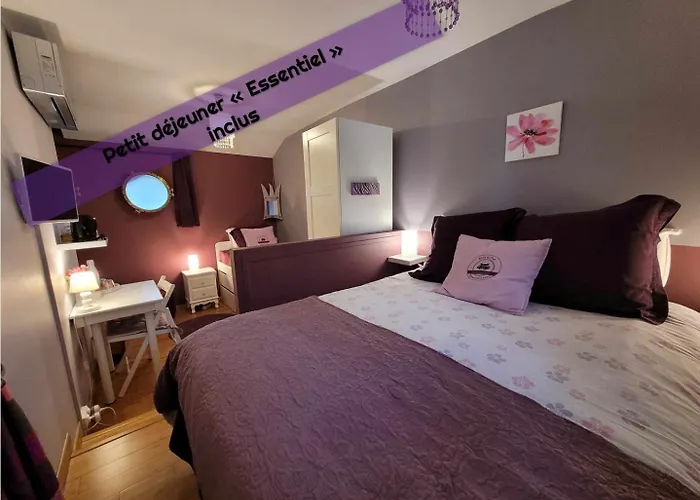 Peniche Amboise Flottante Centre