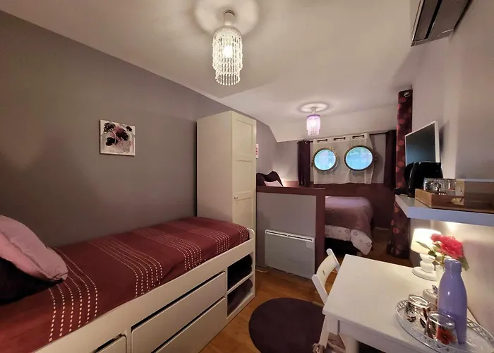 Πλωτό κατάλυμα Peniche Amboise Flottante Centre Τουλούζη