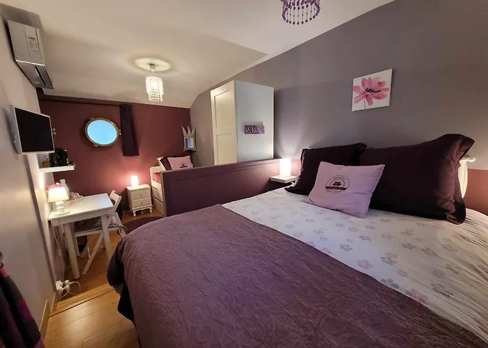 Peniche Amboise Flottante Centre * Τουλούζη