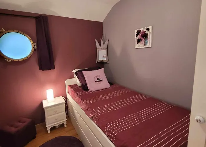 Peniche Amboise Flottante Centre Πλωτό κατάλυμα *