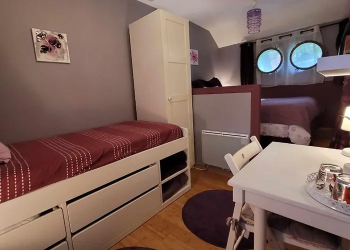 Peniche Amboise Flottante Centre Πλωτό κατάλυμα Τουλούζη