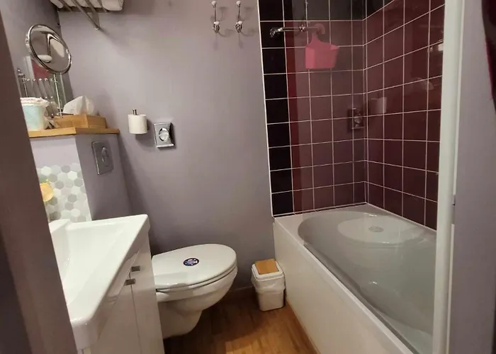 Peniche Amboise Flottante Centre *