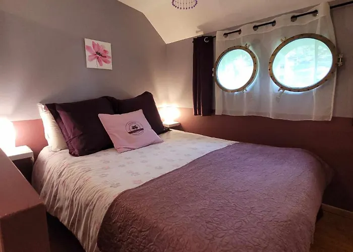 Peniche Amboise Flottante Centre Πλωτό κατάλυμα