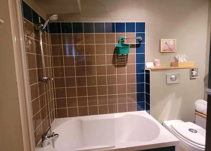 Peniche Amboise Flottante Centre Τουλούζη