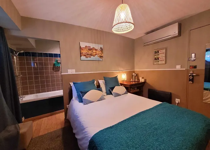 Peniche Amboise Flottante Centre Τουλούζη