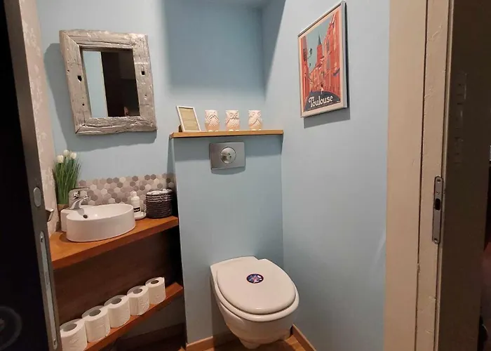 Peniche Amboise Flottante Centre Πλωτό κατάλυμα