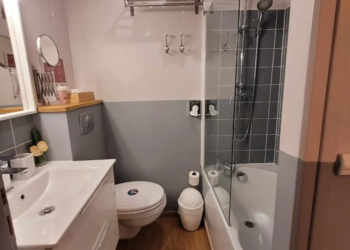 Πλωτό κατάλυμα Peniche Amboise Flottante Centre *