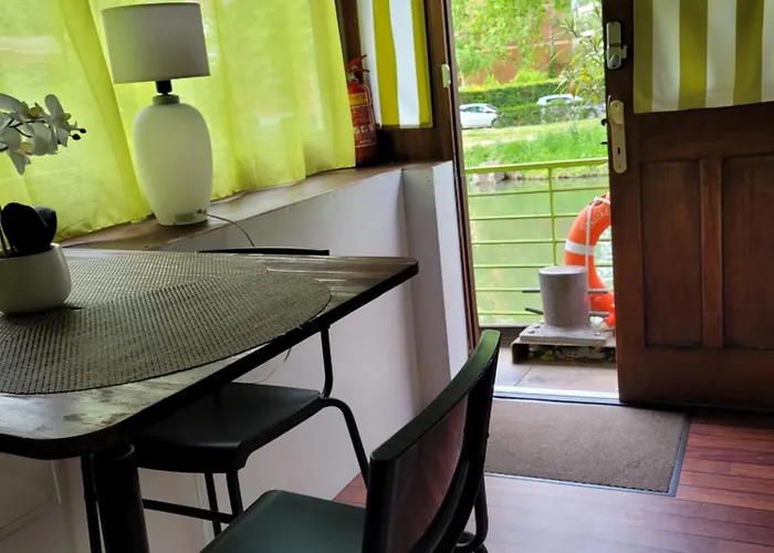 Peniche Amboise Flottante Centre *