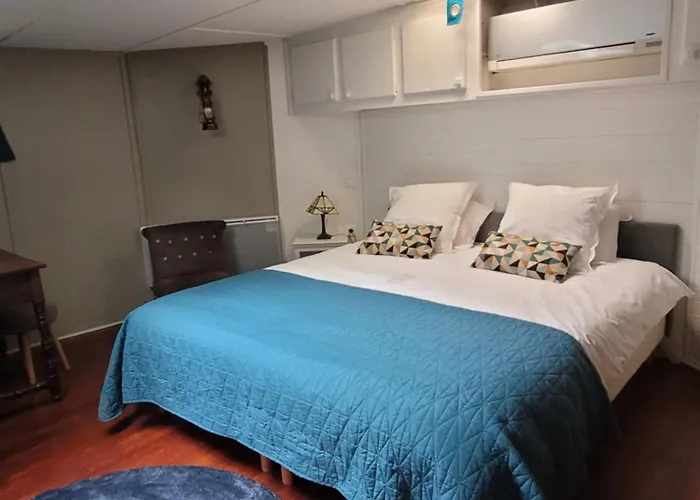 Πλωτό κατάλυμα Peniche Amboise Flottante Centre Τουλούζη