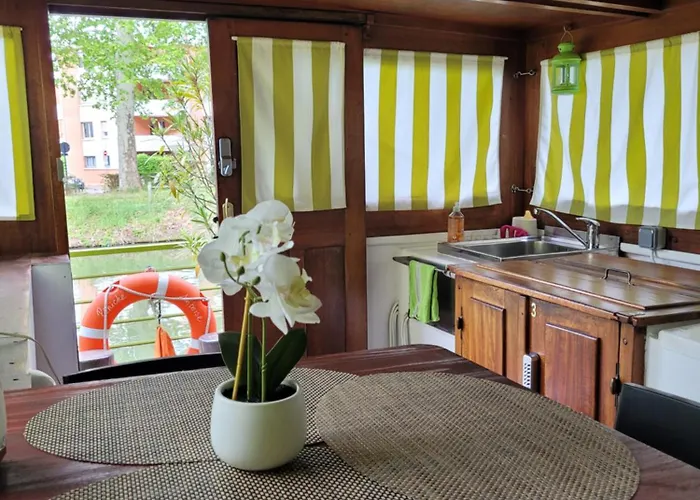 Πλωτό κατάλυμα Peniche Amboise Flottante Centre *