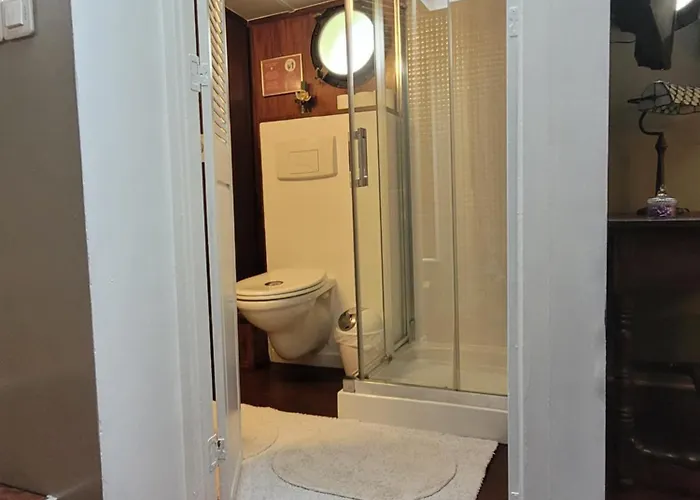 Peniche Amboise Flottante Centre * Τουλούζη