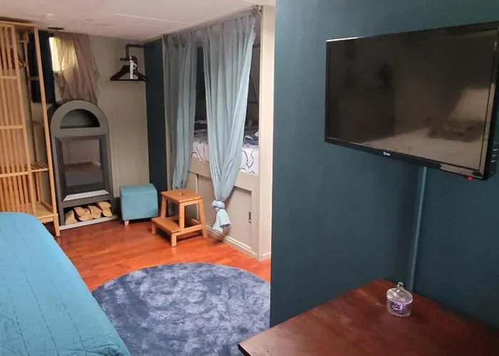 Peniche Amboise Flottante Centre Τουλούζη