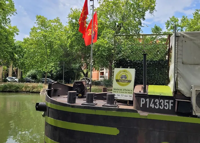 Peniche Amboise Flottante Centre *