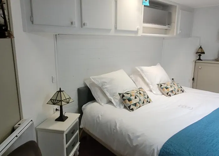 Peniche Amboise Flottante Centre Πλωτό κατάλυμα *