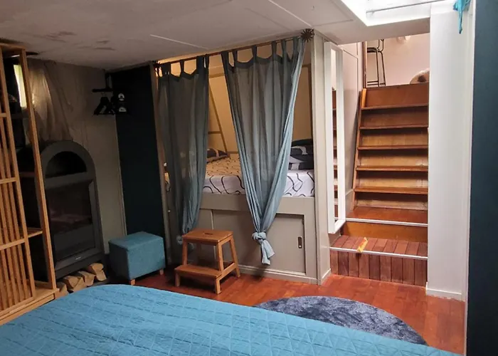 Peniche Amboise Flottante Centre Τουλούζη