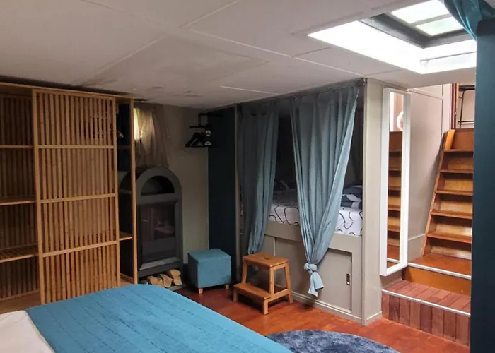 Peniche Amboise Flottante Centre