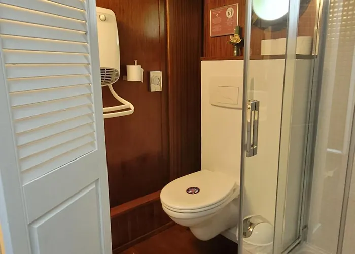 Peniche Amboise Flottante Centre