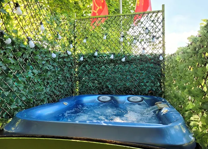 Peniche Amboise Flottante Centre Τουλούζη