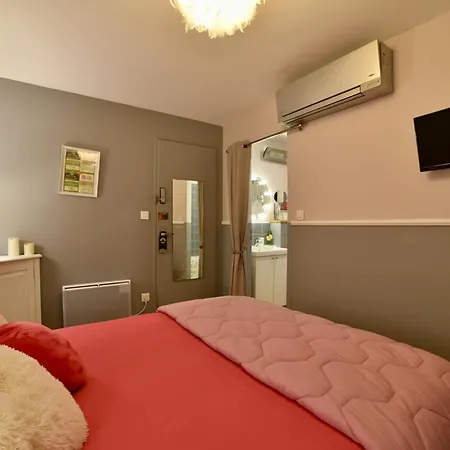 보트호텔 Peniche Amboise Flottante Centre 툴루즈