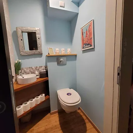 Peniche Amboise Flottante Centre 보트호텔