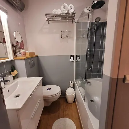 보트호텔 Peniche Amboise Flottante Centre *