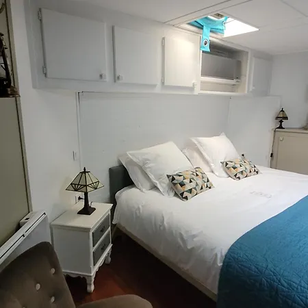 Peniche Amboise Flottante Centre 보트호텔 *