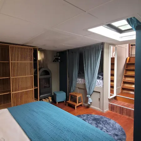 Peniche Amboise Flottante Centre