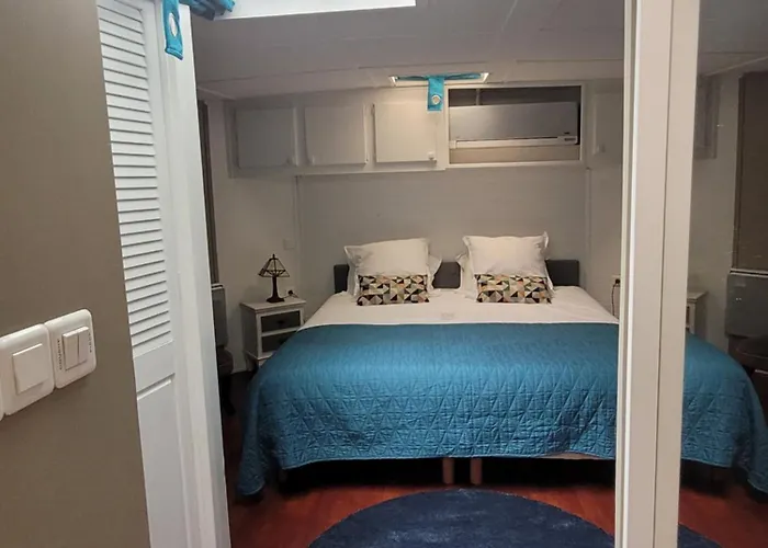 Peniche Amboise Flottante Centre Toulouse